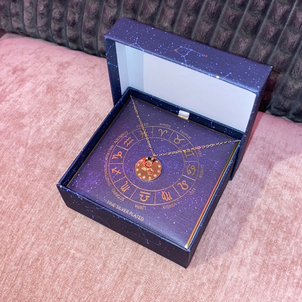 Fine silver plated zodiac sign necklace